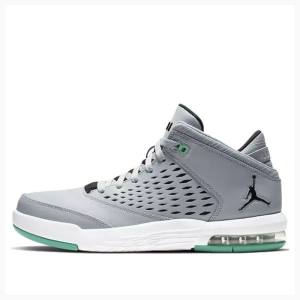 Grey / Green Nike Flight Origin 4 Basketball Shoes Men's Air Jordan | JD-079LS