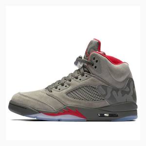 Grey Nike Retro Reflective Camo Basketball Shoes Men's Air Jordan 5 | JD-174QT