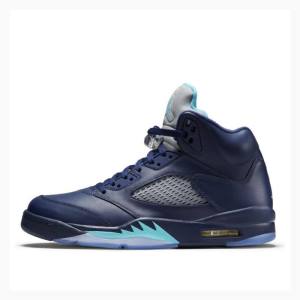 Navy Nike Retro Hornets Basketball Shoes Men's Air Jordan 5 | JD-768SP