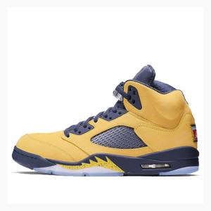 Yellow Nike Retro SE Michigan Basketball Shoes Men's Air Jordan 5 | JD-938PU