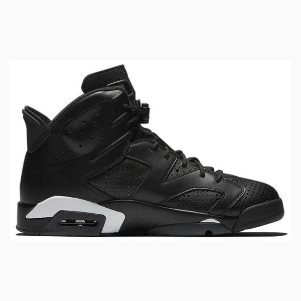 Black Nike Retro Cat Basketball Shoes Men's Air Jordan 6 | JD-496UQ