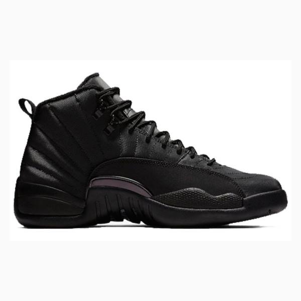 Black Nike Retro WNTR Winterized - Anthracite Basketball Shoes Men's Air Jordan 12 | JD-145PW