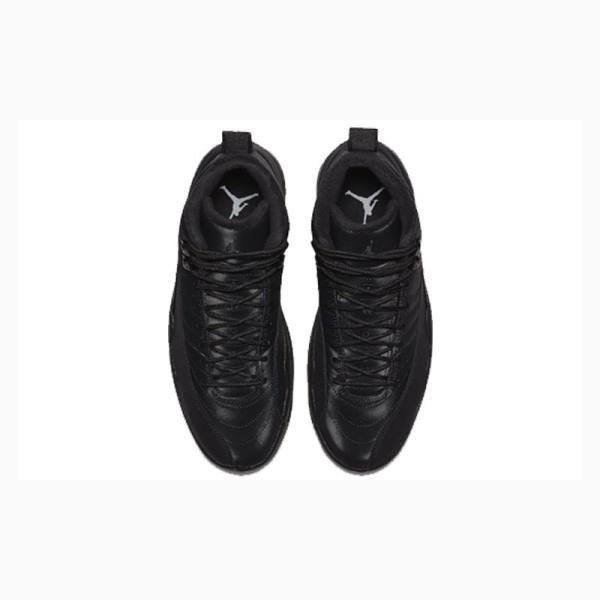 Black Nike Retro WNTR Winterized - Anthracite Basketball Shoes Men's Air Jordan 12 | JD-145PW