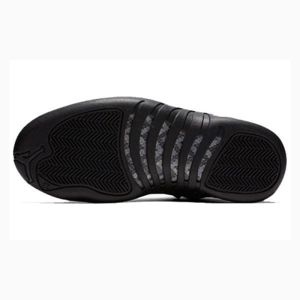 Black Nike Retro WNTR Winterized - Anthracite Basketball Shoes Men's Air Jordan 12 | JD-145PW