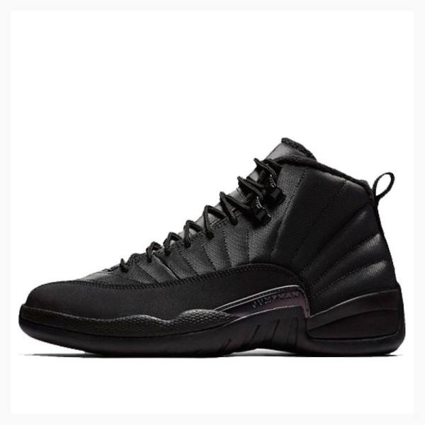 Black Nike Retro WNTR Winterized - Anthracite Basketball Shoes Men\'s Air Jordan 12 | JD-145PW