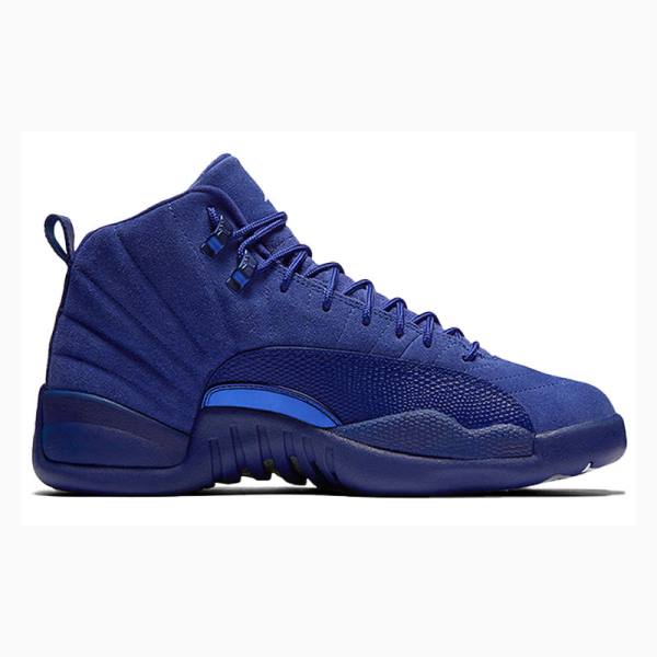 Dark Blue Nike Retro Basketball Shoes Men's Air Jordan 12 | JD-301IN