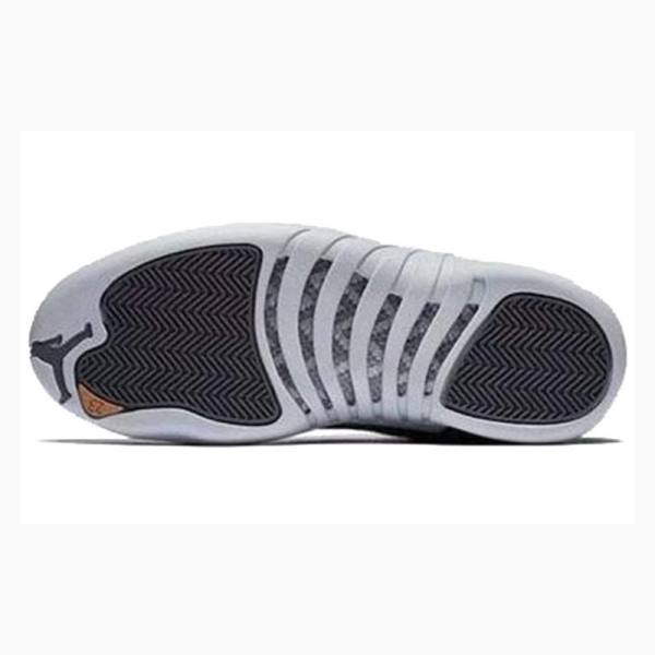 Dark Grey Nike Retro Basketball Shoes Men's Air Jordan 12 | JD-843YP