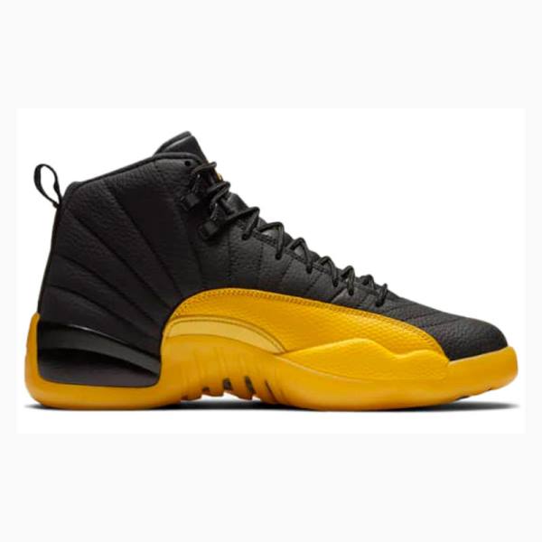 Gold / Black Nike Retro Basketball Shoes Men's Air Jordan 12 | JD-401WY