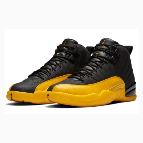 Gold / Black Nike Retro Basketball Shoes Men's Air Jordan 12 | JD-401WY