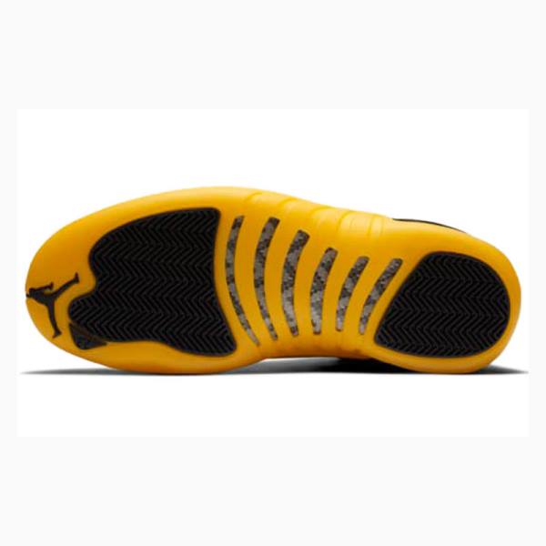 Gold / Black Nike Retro Basketball Shoes Men's Air Jordan 12 | JD-401WY