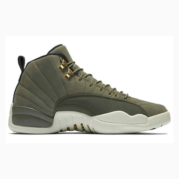 Green Nike Retro Chris Paul - Class of 2003 Basketball Shoes Men's Air Jordan 12 | JD-178NF