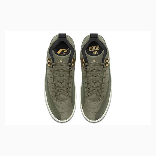 Green Nike Retro Chris Paul - Class of 2003 Basketball Shoes Men's Air Jordan 12 | JD-178NF