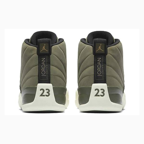 Green Nike Retro Chris Paul - Class of 2003 Basketball Shoes Men's Air Jordan 12 | JD-178NF