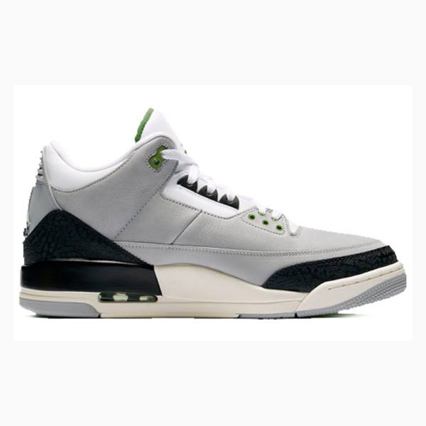 Grey / Black Nike Retro Chlorophyll Basketball Shoes Men's Air Jordan 3 | JD-207TQ