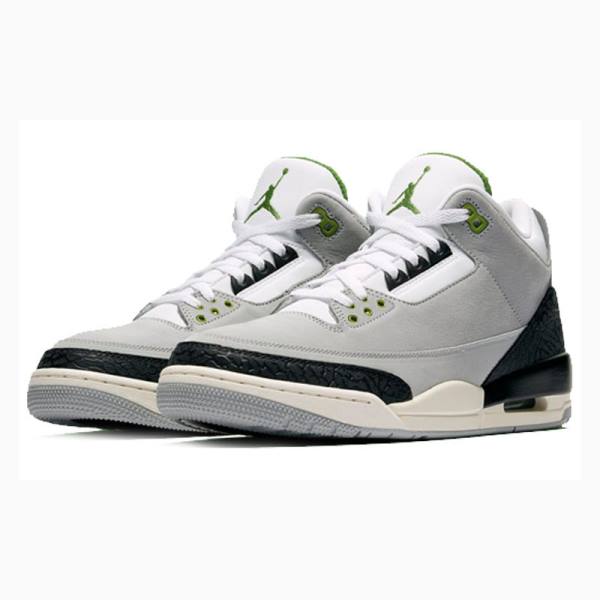 Grey / Black Nike Retro Chlorophyll Basketball Shoes Men's Air Jordan 3 | JD-207TQ