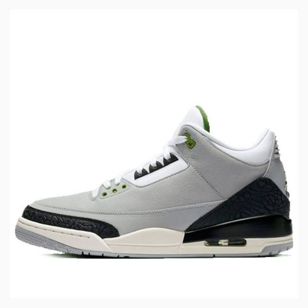 Grey / Black Nike Retro Chlorophyll Basketball Shoes Men\'s Air Jordan 3 | JD-207TQ