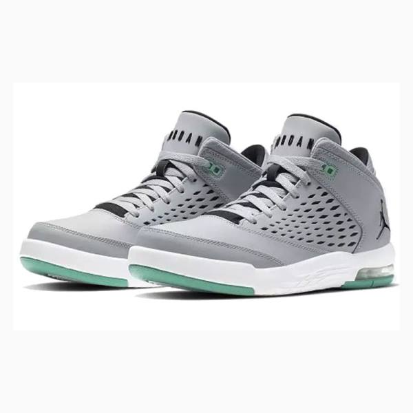 Grey / Green Nike Flight Origin 4 Basketball Shoes Men's Air Jordan | JD-079LS