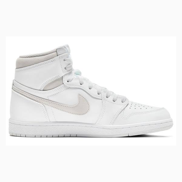 Grey Nike Retro High '85 OG Basketball Shoes Men's Air Jordan 1 | JD-163MS