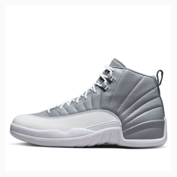 Grey Nike Retro Stealth Basketball Shoes Men\'s Air Jordan 12 | JD-025SN