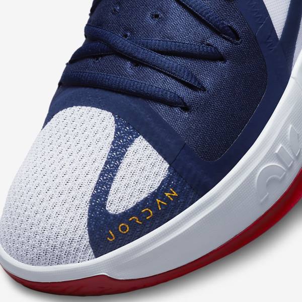 Navy / White / Red / Gold Nike Zoom Separate Men's Air Jordan | NK895XWY