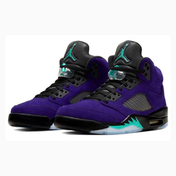 Purple / Black Nike Retro Alternate Grape Basketball Shoes Men's Air Jordan 5 | JD-821QC