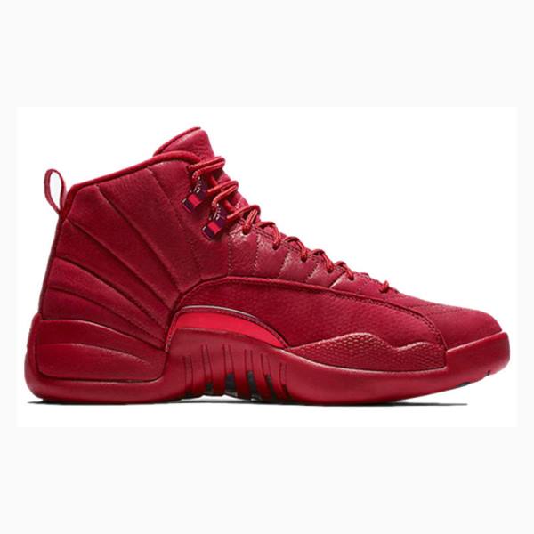 Red Nike Retro Gym Basketball Shoes Men's Air Jordan 12 | JD-058FD