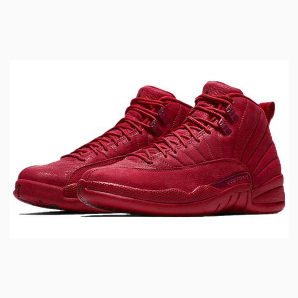 Red Nike Retro Gym Basketball Shoes Men's Air Jordan 12 | JD-058FD