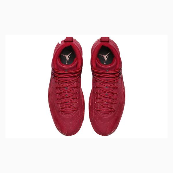 Red Nike Retro Gym Basketball Shoes Men's Air Jordan 12 | JD-058FD