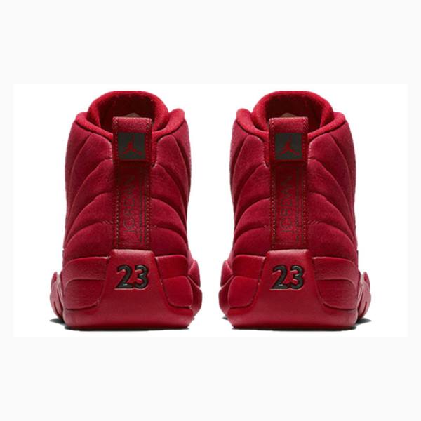 Red Nike Retro Gym Basketball Shoes Men's Air Jordan 12 | JD-058FD