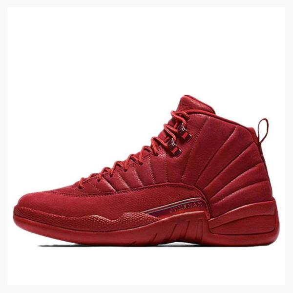 Red Nike Retro Gym Basketball Shoes Men\'s Air Jordan 12 | JD-058FD